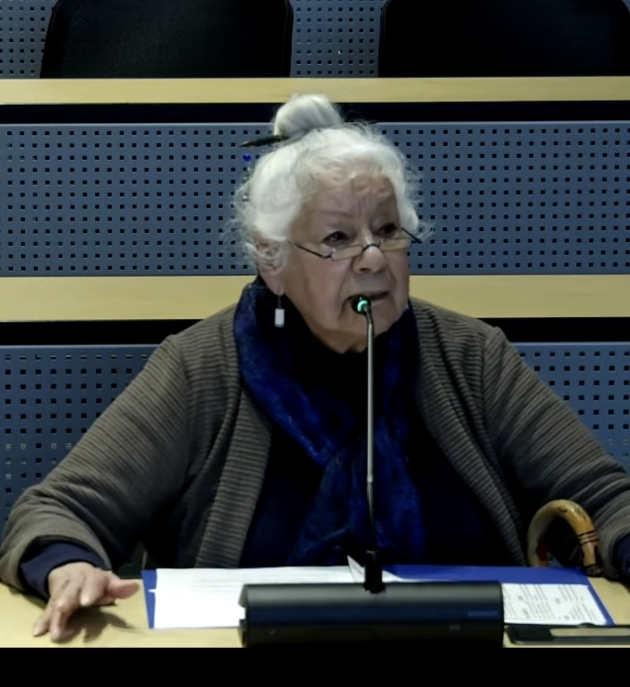 A woman sits in front of a mic addressing a meeting